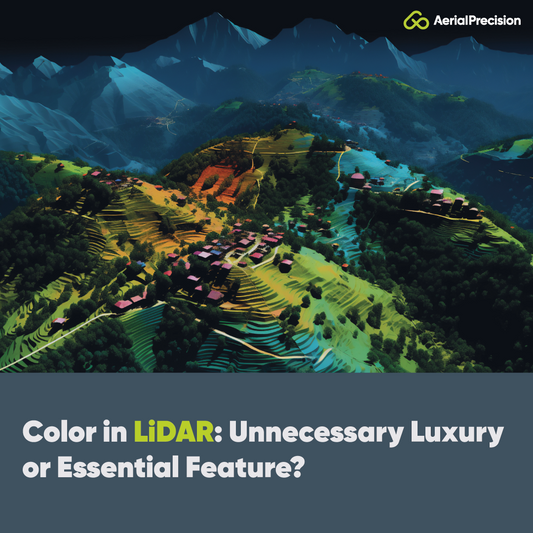Color in LiDAR: Unnecessary Luxury or Essential Feature?