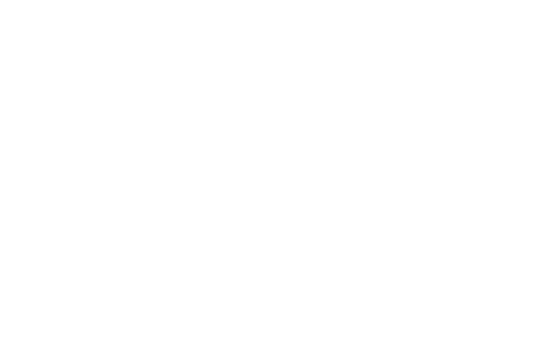 eagle drone